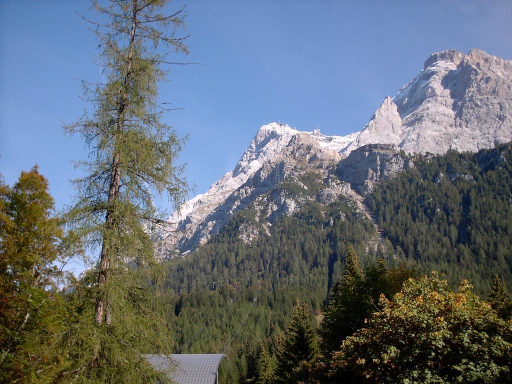 Haus Sonnblick Daire Wängle Dış mekan fotoğraf