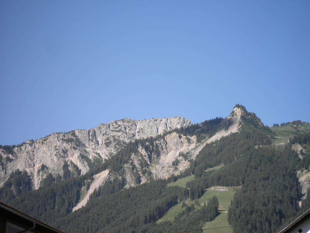 Haus Sonnblick Daire Wängle Dış mekan fotoğraf