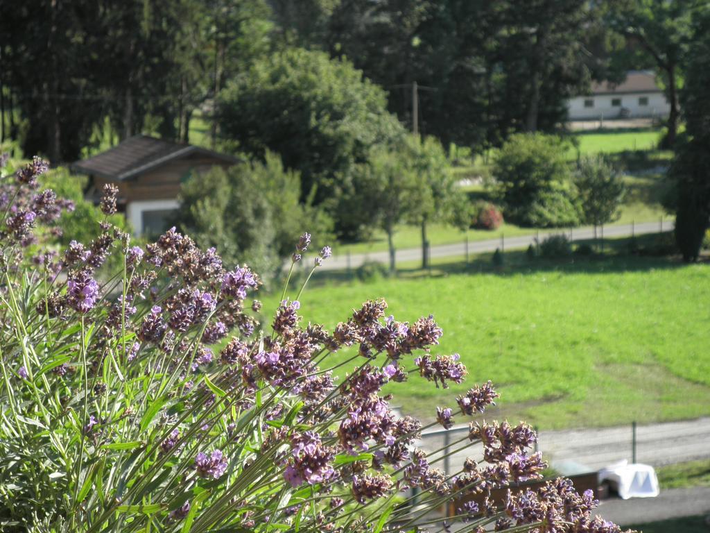 Haus Sonnblick Daire Wängle Dış mekan fotoğraf